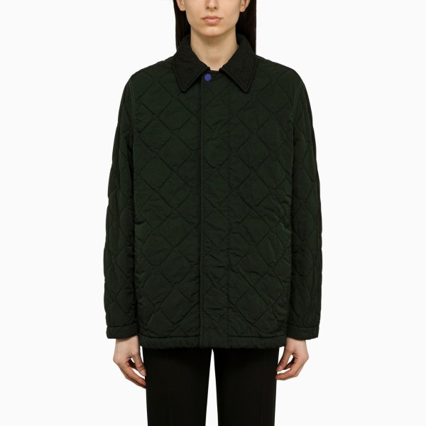 Ivy-coloured quilted jacket in nylon