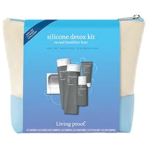 Perfect hair Day Silicone Detox Full Size Kit