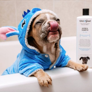 Petco Dog Full-service Bath or Bath with Haircut
