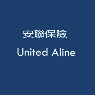 安联保险 曼哈顿分部 - United Aline - 纽约 - New York