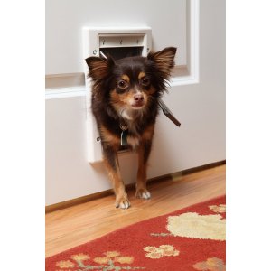 PetSafe Plastic Pet Door with Soft Tinted Flap