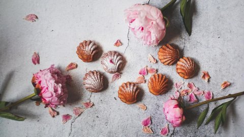 PH大师经典下午茶 | 玫瑰覆盆子玛德琳(Madeleines Ispahan)