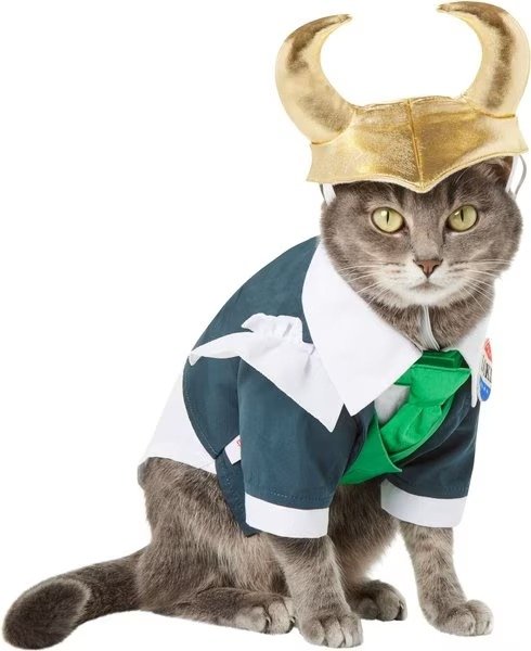 's Loki President Dog & Cat Costume