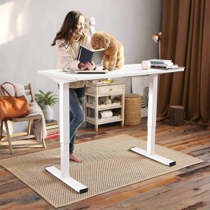 FLEXISPOT select Standing Desks on sale