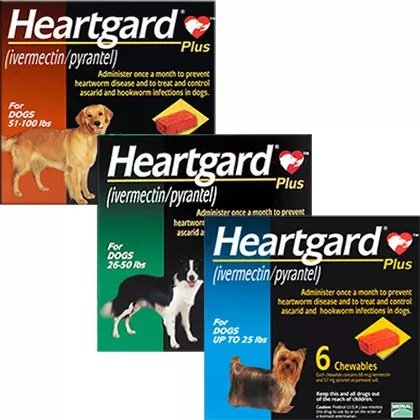 Plus for Dogs | Free Shipping $49+ - 1800PetMeds
