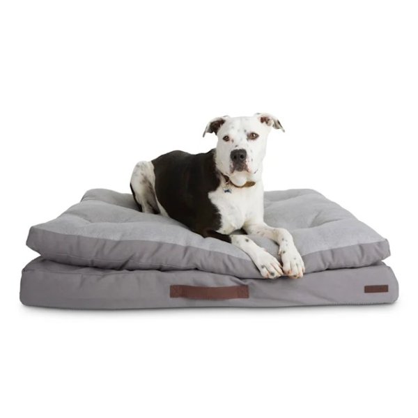 Reddy Grey Double-Pillowtop Lounger Orthopedic Dog Bed, 32" L X 24" W | Petco