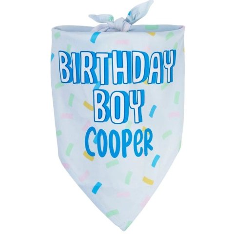 FRISCO Birthday Boy Personalized Dog & Cat Bandana, Large - Chewy.com