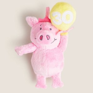 仅£6就能get小可爱！手慢无上新：Marks & Spencer 玛莎猪毛绒玩具上新 30周年纪念款 少女心必收