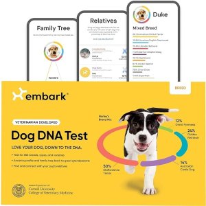 Embark狗DNA测试