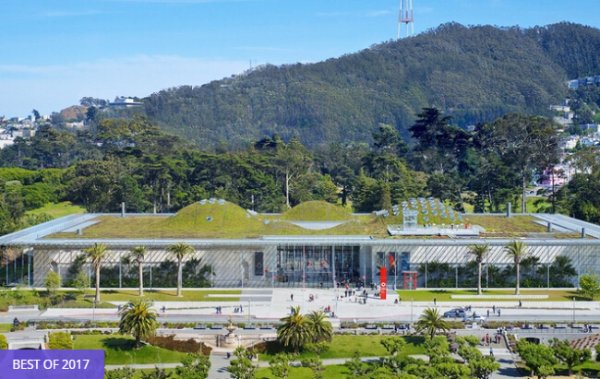 Adult, Child, or Youth or Senior General Admission at California Academy of Sciences