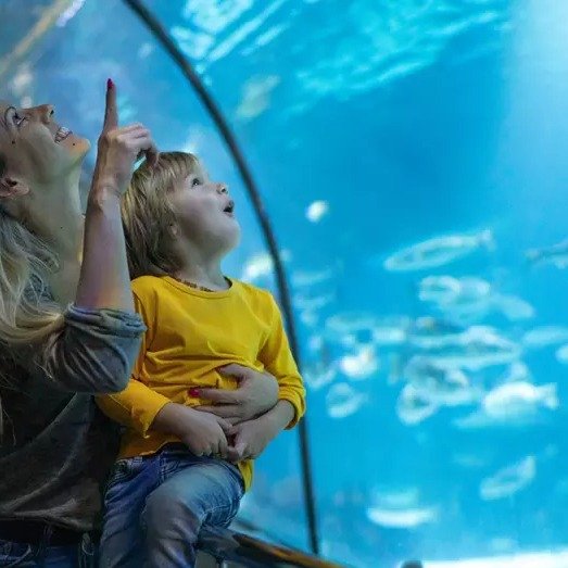 Admission for One Child or Adult to New York Aquarium (Up to 10% Off)