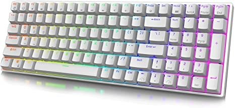 RK ROYAL KLUDGE RK100 2.4G Wireless/Bluetooth/Wired RGB Mechanical Keyboard, 100 Keys 3 Modes Connectable Hot Swappable White Switch Gaming Keyboard for Win/Mac
