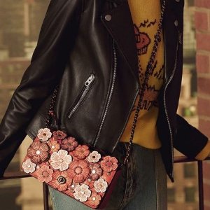 Dinky Bags @ Coach