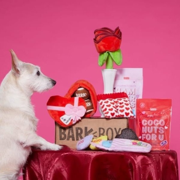 barkbox 6 month subscription