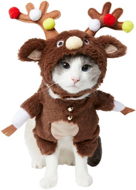 FRISCO Front Walking Reindeer Dog & Cat Costume, 1 count, Small - Chewy.com