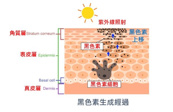 註解 2019-07-24 103347.jpg
