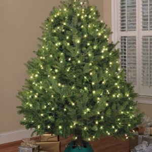 Expired 3 99 Ge Staybright 2 5 Ft X 5 4 Ft X 14 6 Ft Indoor Outdoor Constant White Led Mini Plug In Christmas Net Lights Energy Star Expired 3 99 Ge Staybright 2 5 Ft X 5 4 Ft X 14 6 Ft Indoor Outdoor Constant White Led Mini Plug In Christmas Net Lights Energy Star