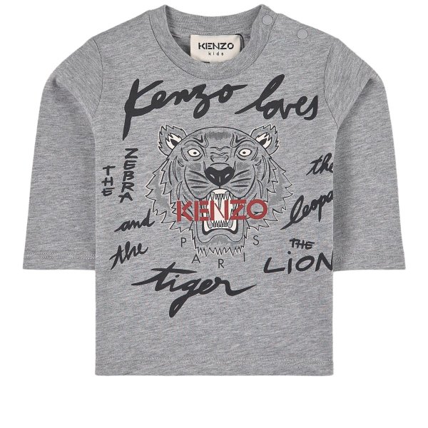 Kids Gray The Tiger T-Shirt | AlexandAlexa