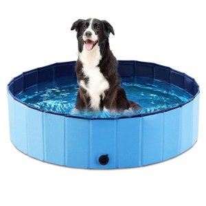 Today Only: Jasonwell Dog Pool Sale