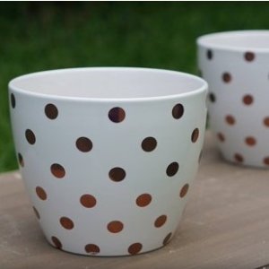 Better Homes and Gardens Gold 8 in. Dots Outdoor Ceramic Planter - set of 2