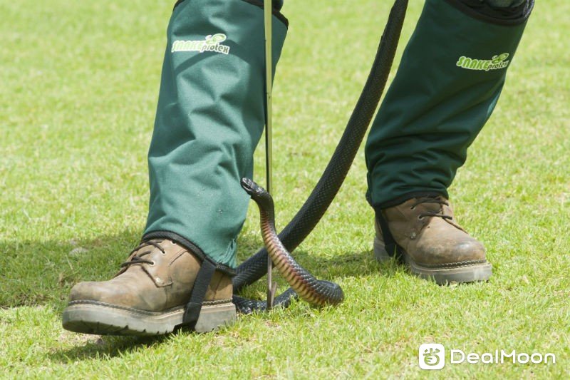 Snake Gaiters 防止被蛇咬 保护脚套
