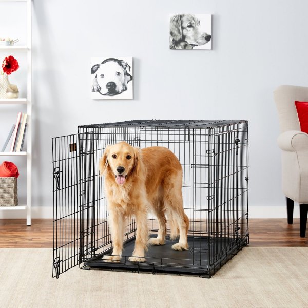 iCrate Fold & Carry Double Door Collapsible Wire Dog Crate, 42-in - Chewy.com