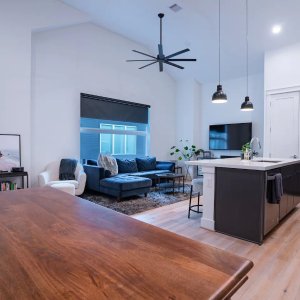 Airbnb 休斯顿民宿 独立公寓/房间 单人/双人出游皆可