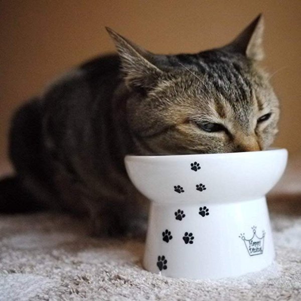 Necoichi Raised Cat Food Bowl, Stress Free, Backflow Prevention, Dishwasher and Microwave Safe, Made to FDA/EC&ECC European Standard