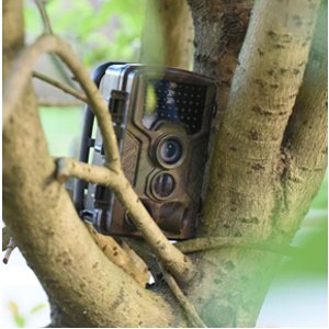 HD Wildlife camera Train & Game, Infrared Scouting Cameras