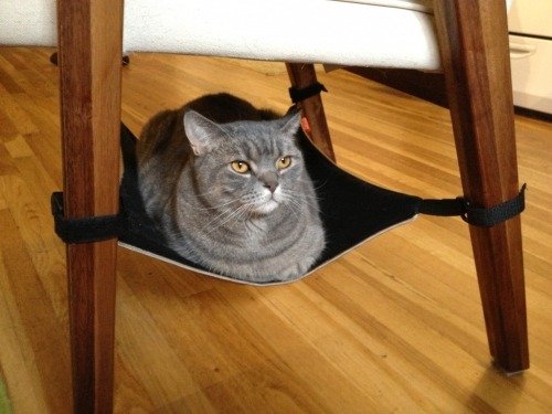 Cat Crib 猫咪吊床