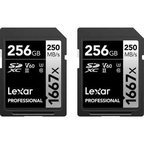 256GB Professional 1667x UHS-II SDXC 2张