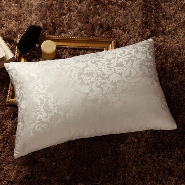 100% Silk Filled Pillow with Silk Shell (Queen Size)