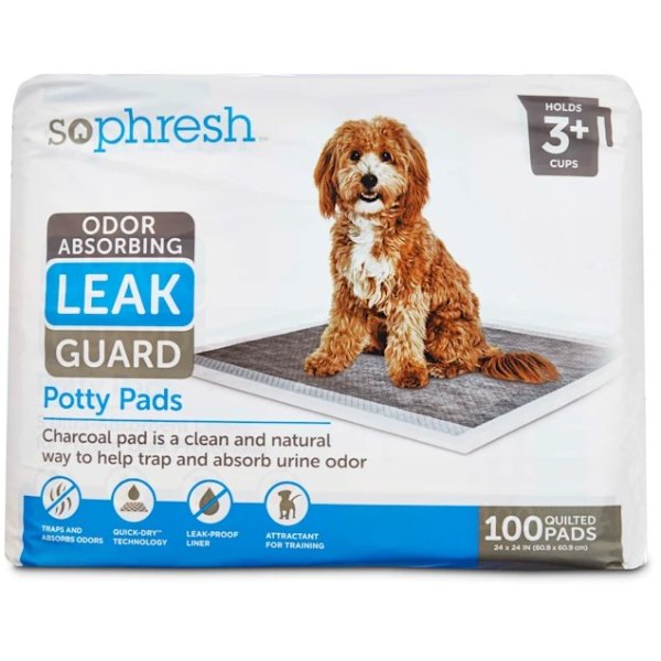 Odor Absorbing Leak Guard Potty Pads, Count of 100 | Petco