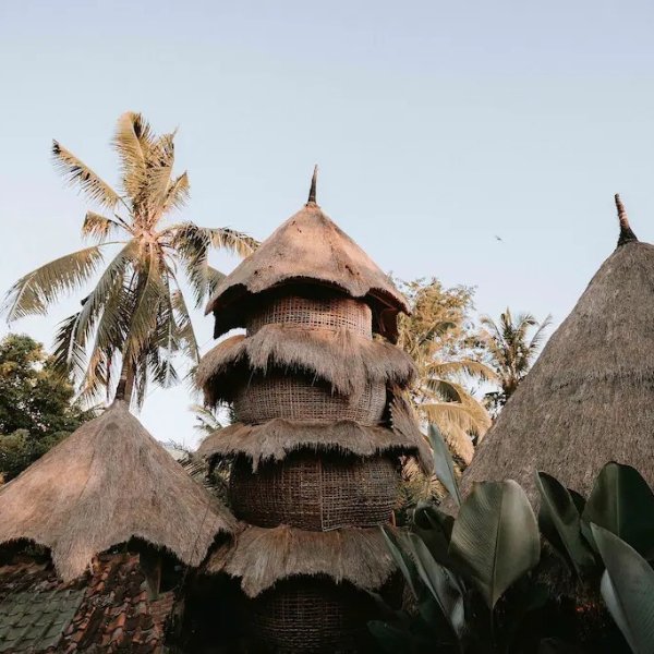 印尼巴厘岛 竹制鸟巢