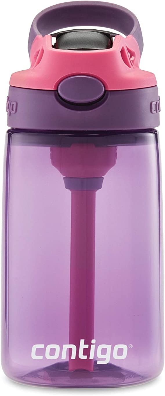 Aubrey Kids Cleanable Water Bottle with Silicone Straw and Spill-Proof Lid, Dishwasher Safe, 14oz, Eggplant