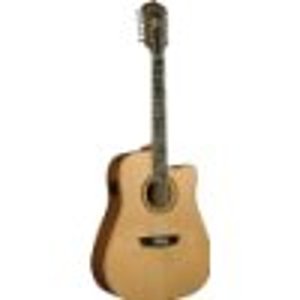 Washburn WD10SCE-NS Dreadnought Acoustic Electric Guitar