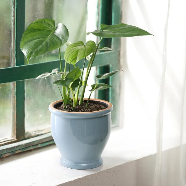 TRUMPETBUSKE Plant pot, indoor/outdoor blue, 6 "