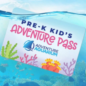 小朋友专属福利！Adventure Aquarium 海洋馆 送年卡啦