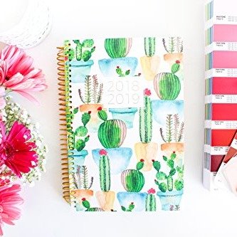 2018-2019 Academic Year Day Planner - Monthly and Weekly Datebook/Calendar Book - Inspirational Dated Agenda Organizer - (August 2018 - July 2019) - 6" x 8.25" - White Cacti