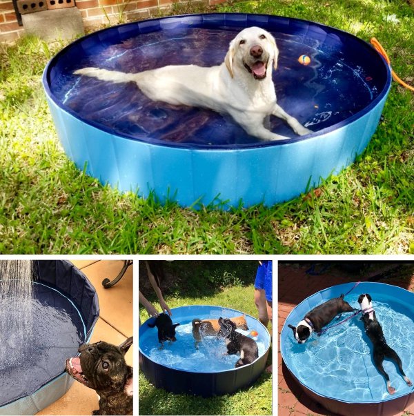 KOPEKS Outdoor Portable Dog Swimming Pool, Gray, X-Large - Chewy.com