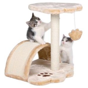 Cat Furniture @ PETCO.com
