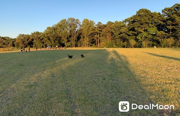 WestsidePark_68.jpg