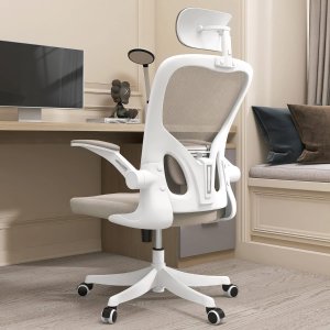 Monhey Ergonomic Office Chair