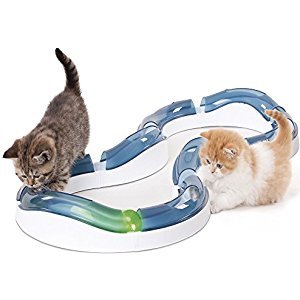 Today Only:Select Catit Items @ Amazon