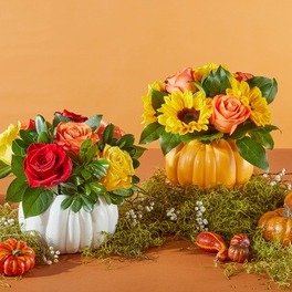 Flower Delivery and Gift Delivery from ProFlowers (Up to 50% Off)