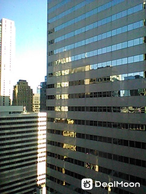 IMG-0004.jpg