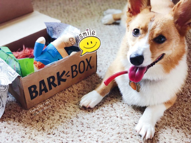 BarkBox服务项目总结 | 除了订阅盒,还有很多