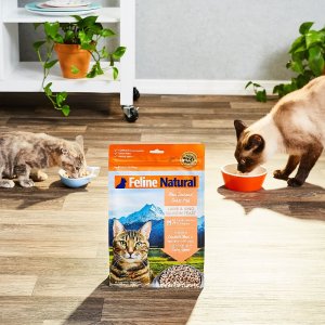 Cat Food Black Friday Sale @ Chewy