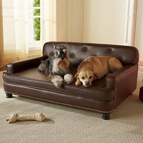 Enchanted Home Pet Library Sofa Dog Bed in Brown