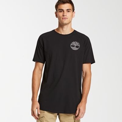 Men's Scoop Hem Graphic Logo T-Shirt | Timberland US Store